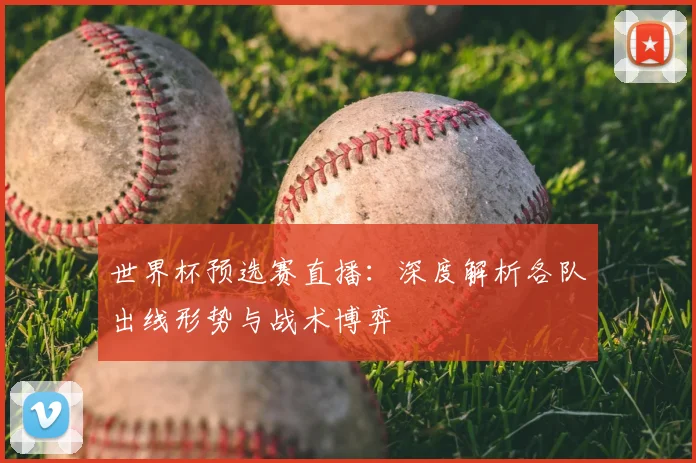 世界杯预选赛直播：深度解析各队出线形势与战术博弈
