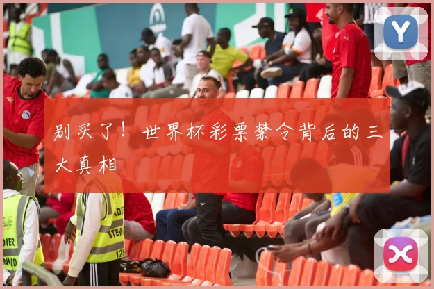 别买了!世界杯彩票禁令背后的三大真相