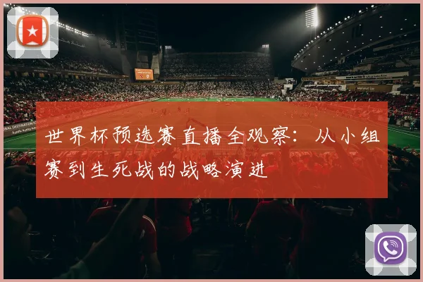 世界杯预选赛直播全观察：从小组赛到生死战的战略演进