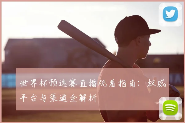 世界杯预选赛直播观看指南：权威平台与渠道全解析