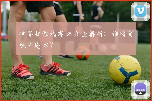 世界杯预选赛积分全解析：谁将晋级卡塔尔？