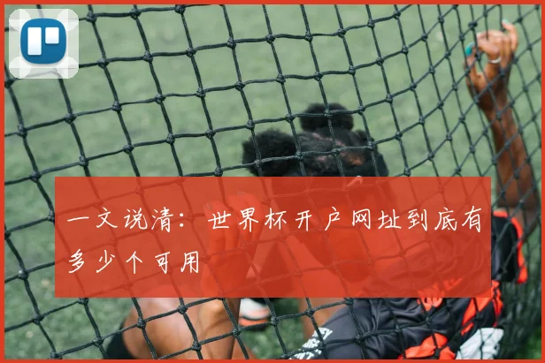 一文说清:世界杯开户网址到底有多少个可用