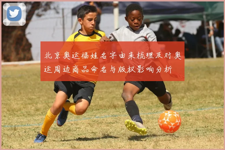 北京奥运福娃名字由来梳理及对奥运周边商品命名与版权影响分析