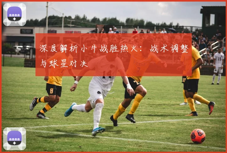 深度解析小牛战胜热火：战术调整与球星对决